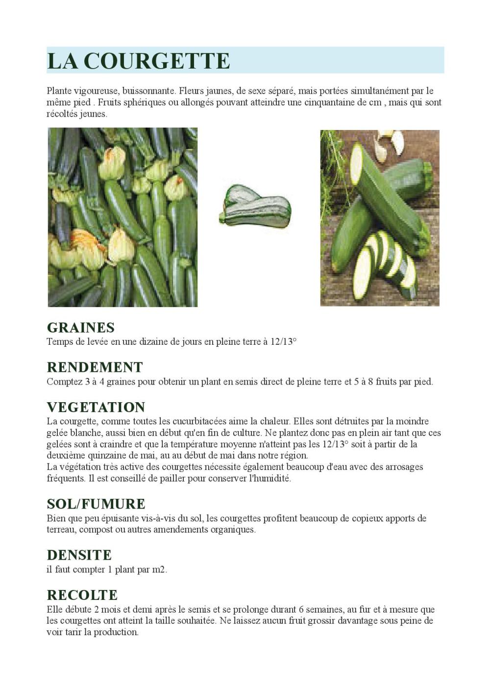 LA COURGETTE