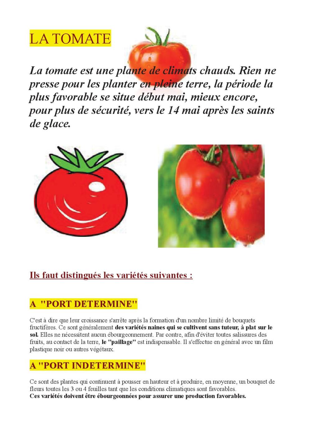 La TOMATE