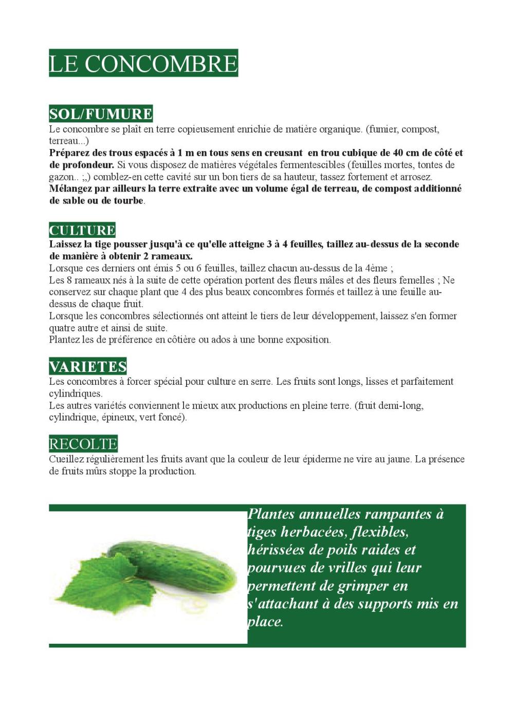 le concombre