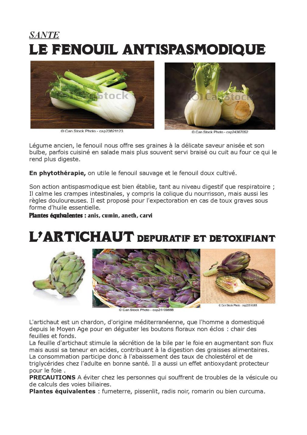 le fenouil antispsasmodique