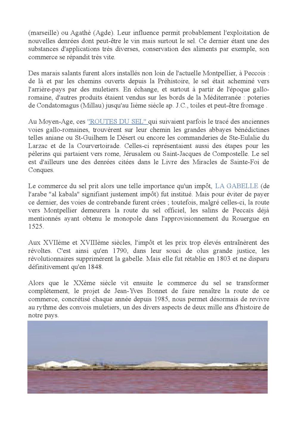 LE SEl SON HISTOIRE, LA ROUTE DU SEL2