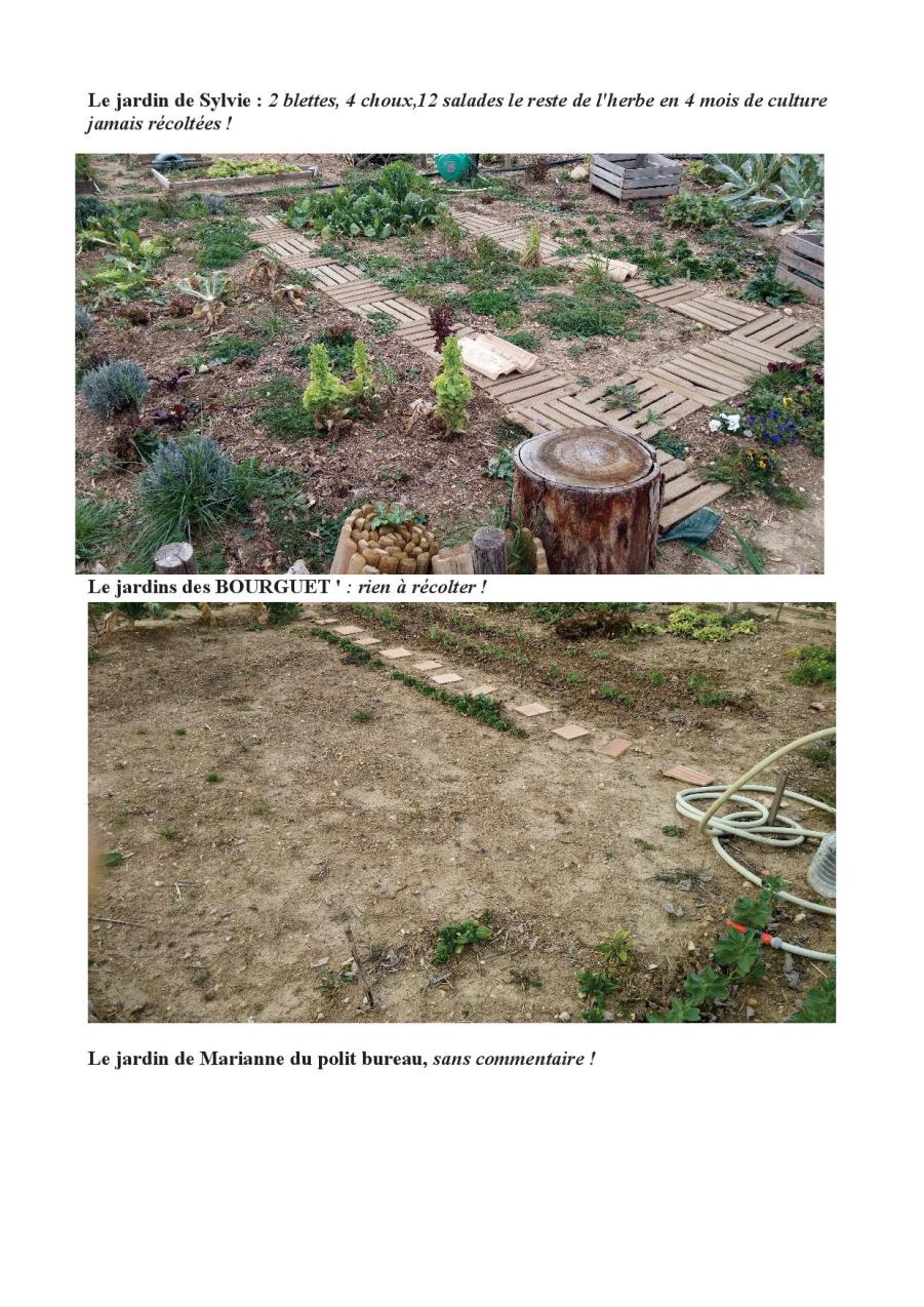 LES JARDINS EN DERIVE5