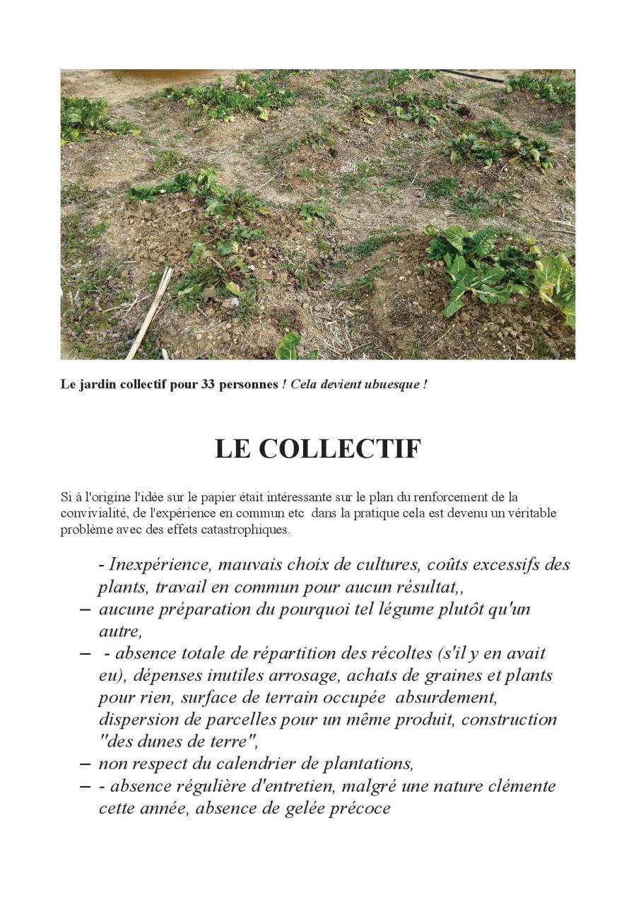 LES JARDINS EN DERIVE6