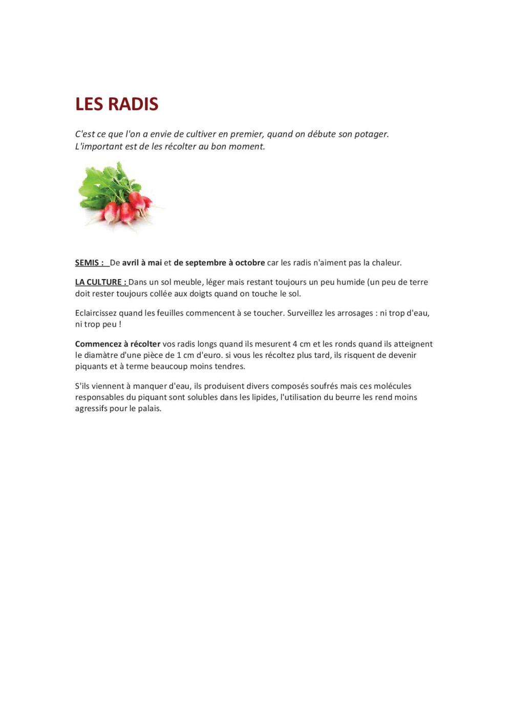 LES RADIS
