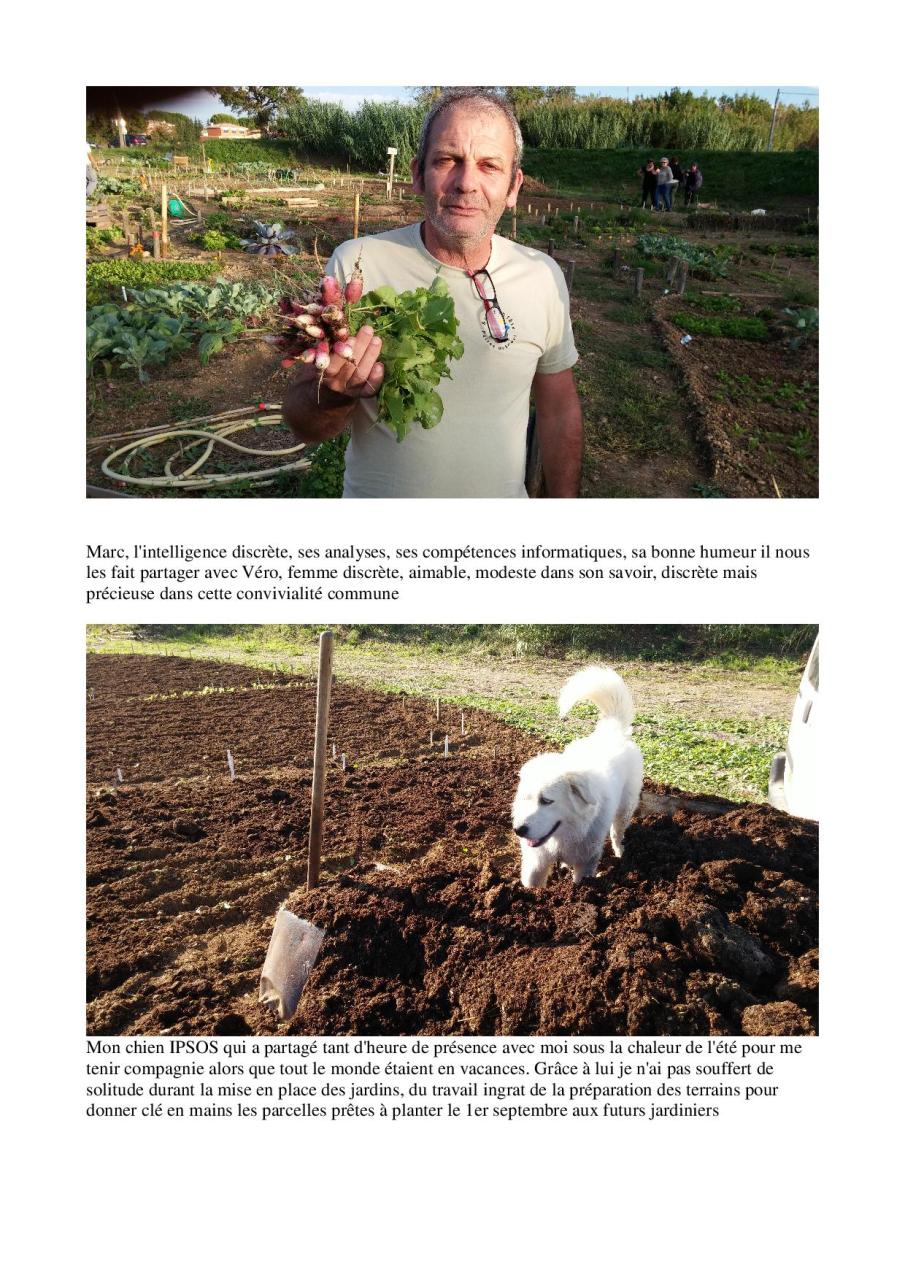 rétropective année 2014 page 405