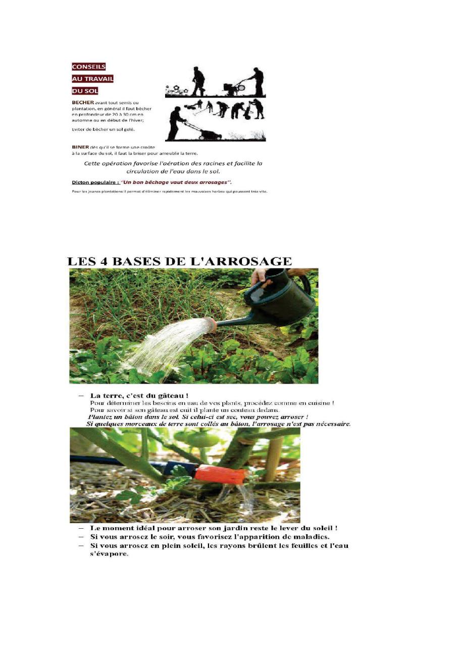 travail du sol contre indication 2