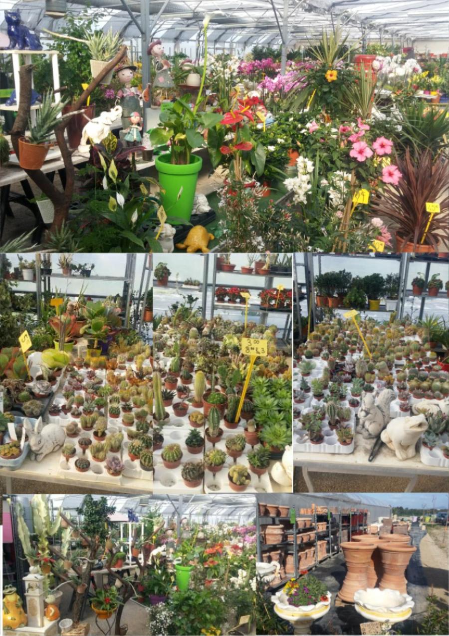 jardins emilie 3 site