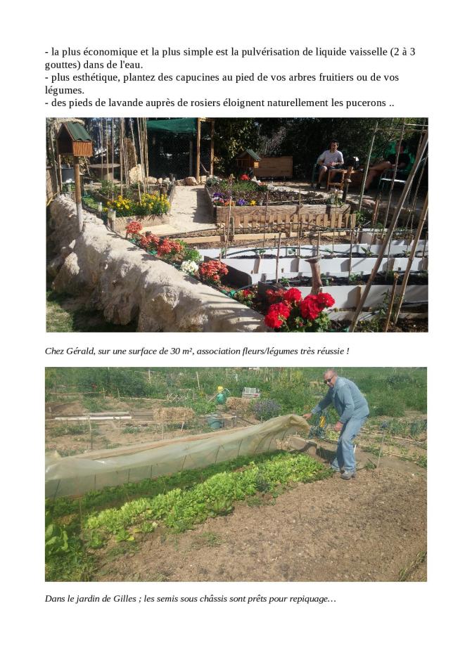 la nature s'éveille2