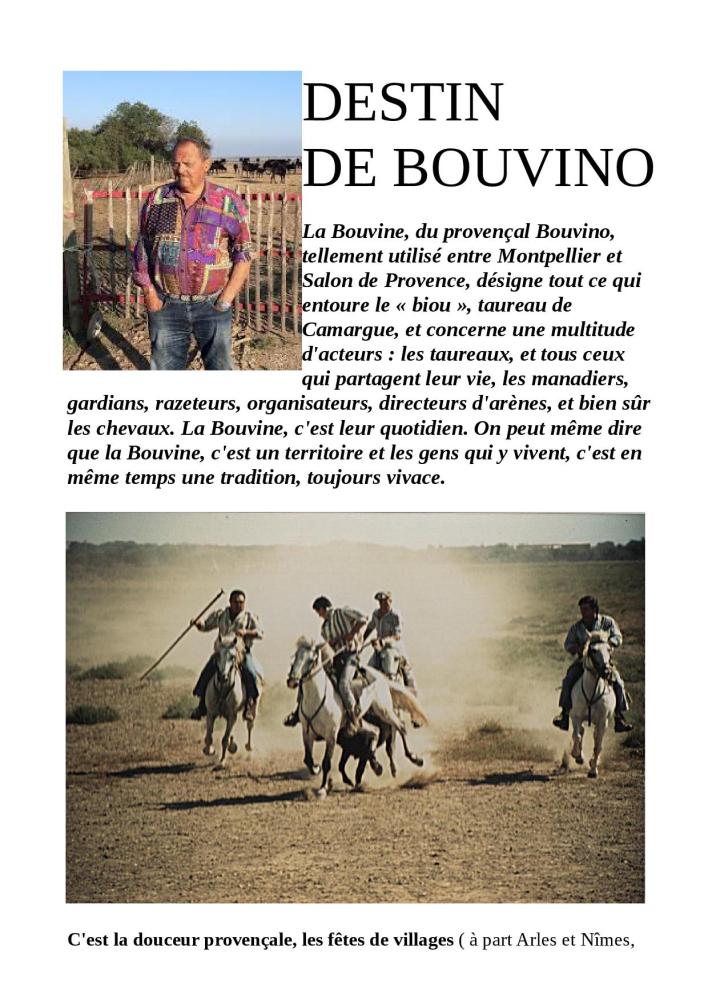 DESTIN DE BOUVINO pret pour le site01