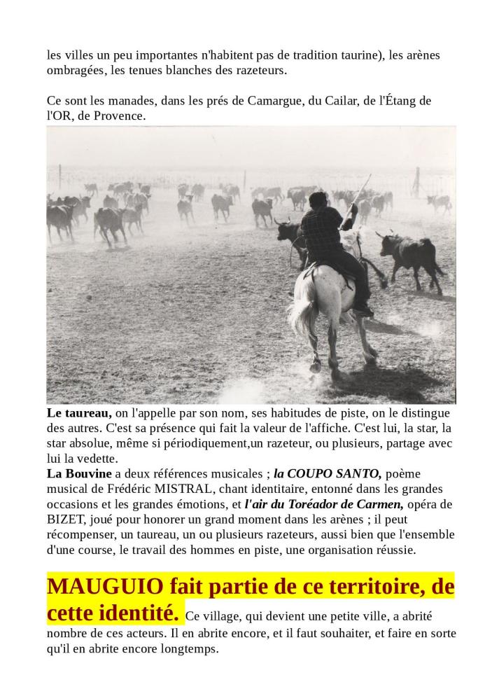 DESTIN DE BOUVINO pret pour le site02