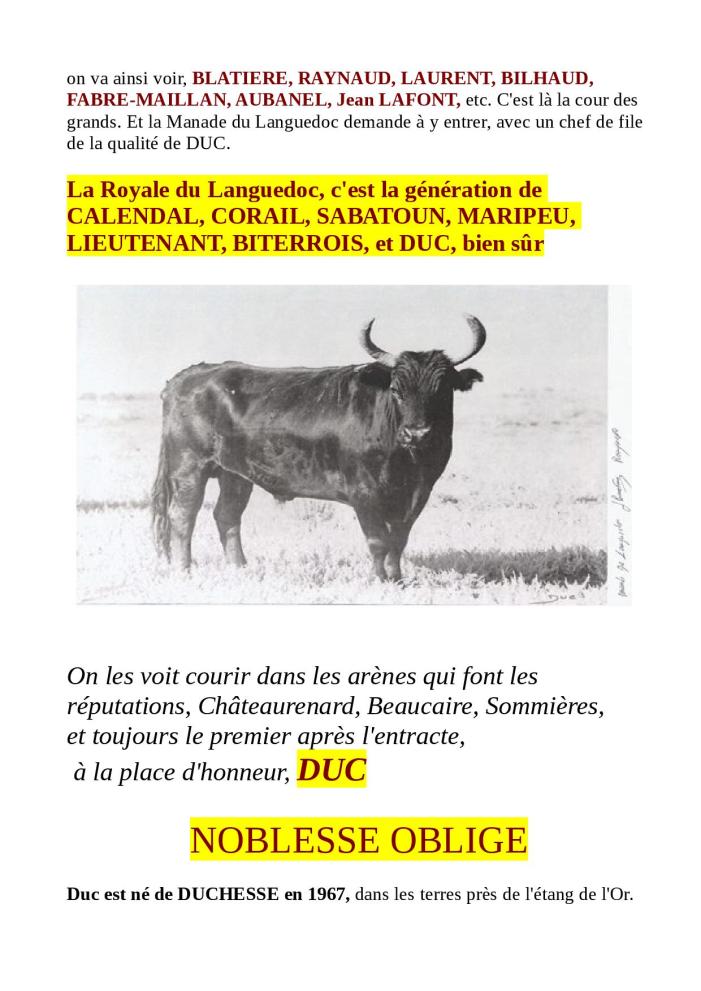 DESTIN DE BOUVINO pret pour le site06