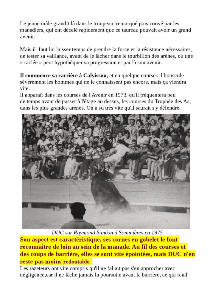 DESTIN DE BOUVINO pret pour le site07