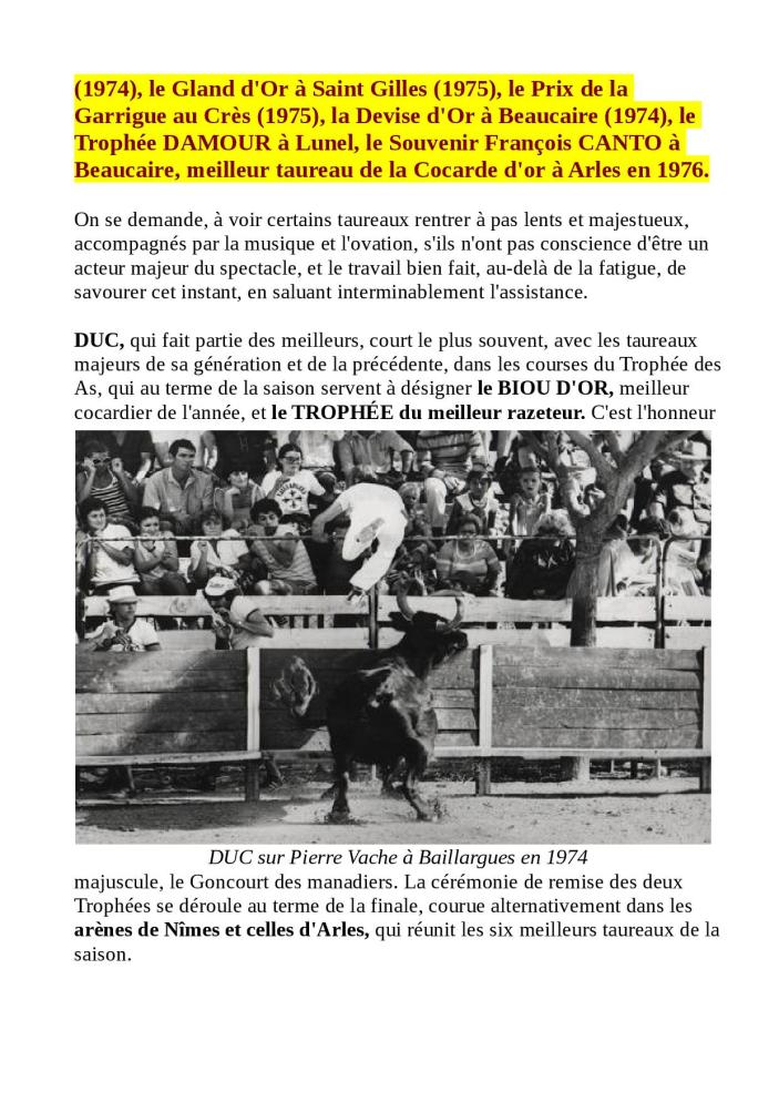 DESTIN DE BOUVINO pret pour le site09