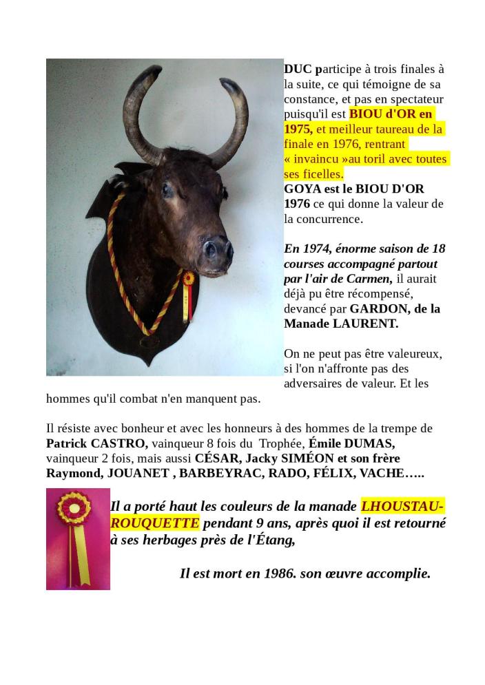 DESTIN DE BOUVINO pret pour le site10