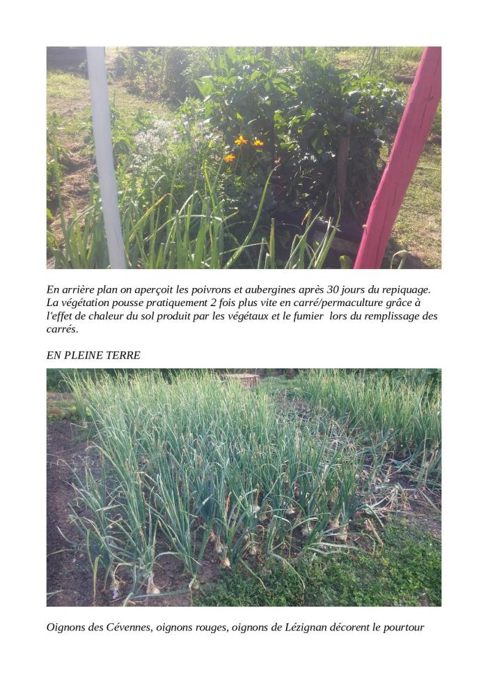 photorama juin 2015 les jardins04