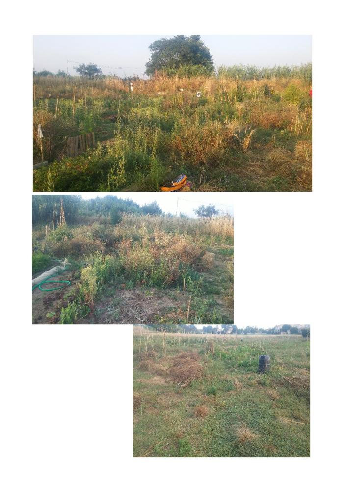 photorama juin 2015 les jardins06