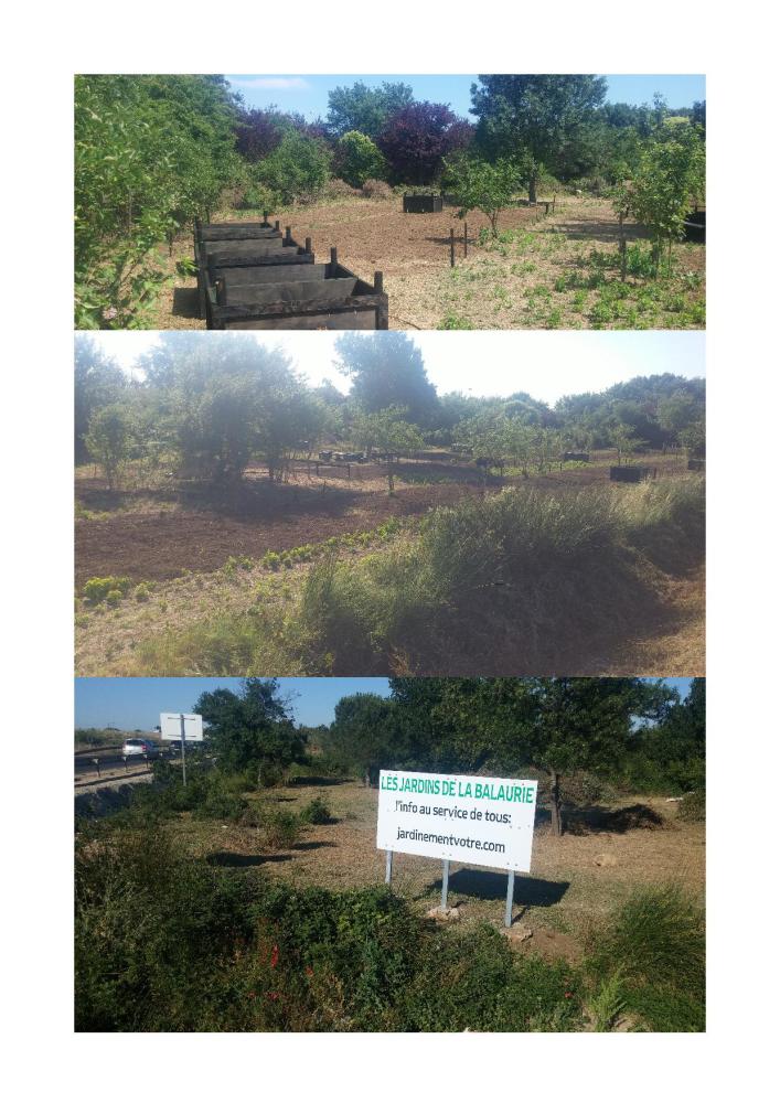 photorama juin 2015 les jardins09