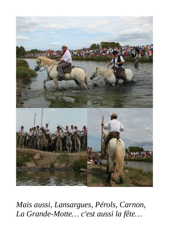 aout 2015 ete chaud site 109