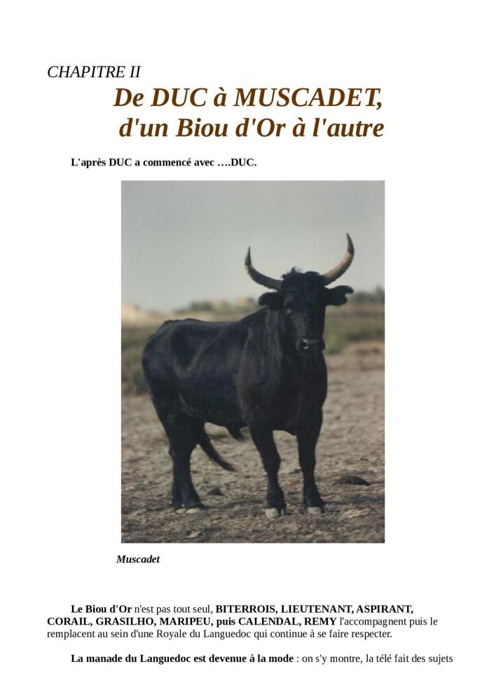 DESTIN DE BOUVINO 2ème partie bis