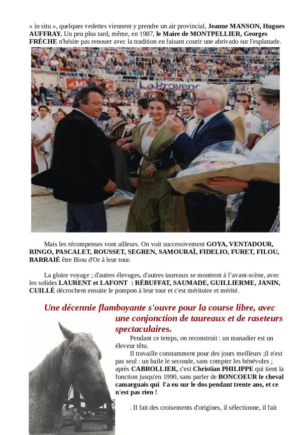 DESTIN DE BOUVINO 2ème partie bis2