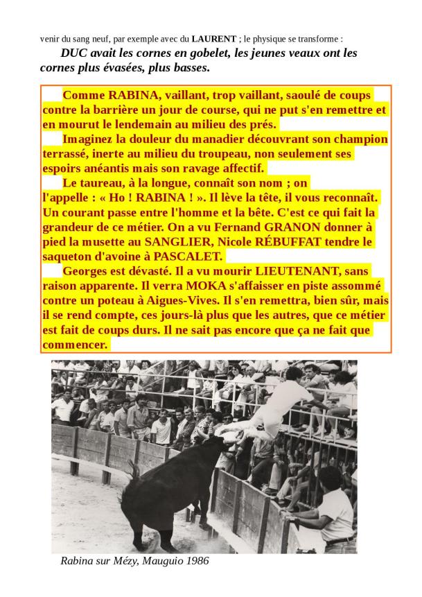 DESTIN DE BOUVINO 2ème partie bis3