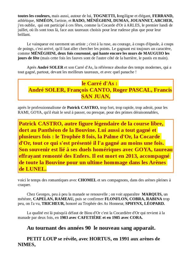 DESTIN DE BOUVINO 2ème partie bis5