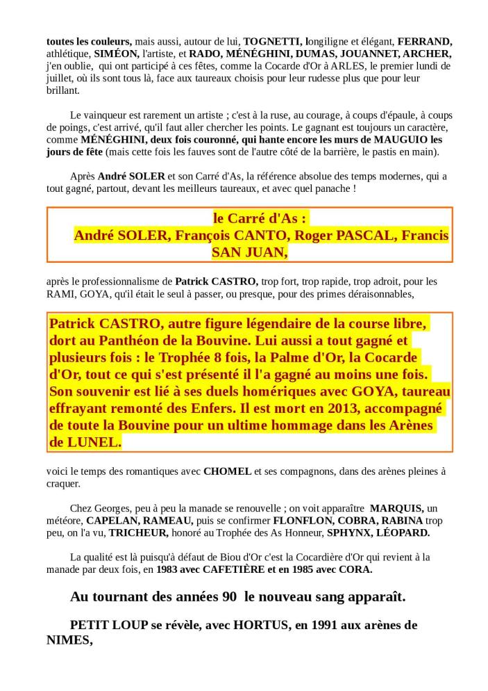 DESTIN DE BOUVINO 2ème partie bis5