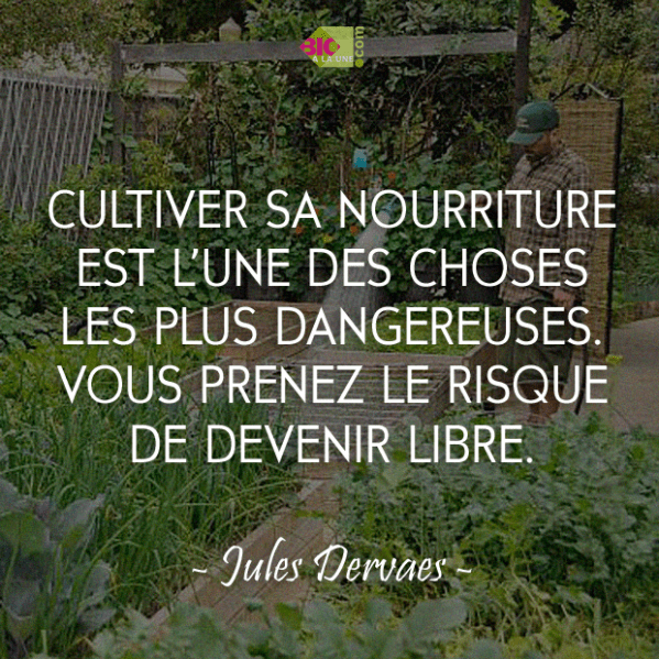 11233172_10153982517743228_5704923709486183958_n