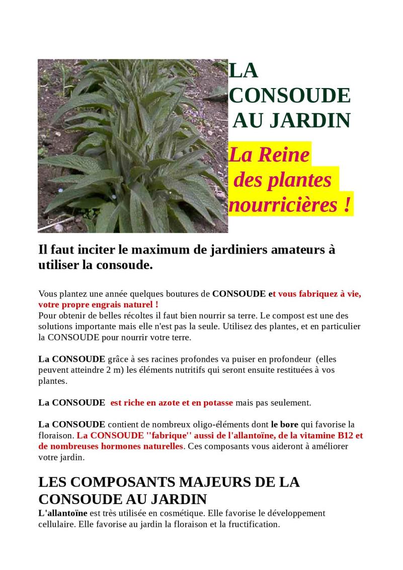 la consoude nouvel article complet