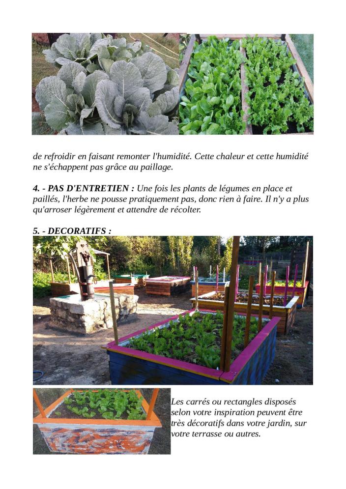 editorial saint-roch jardin pour site novembre 20155