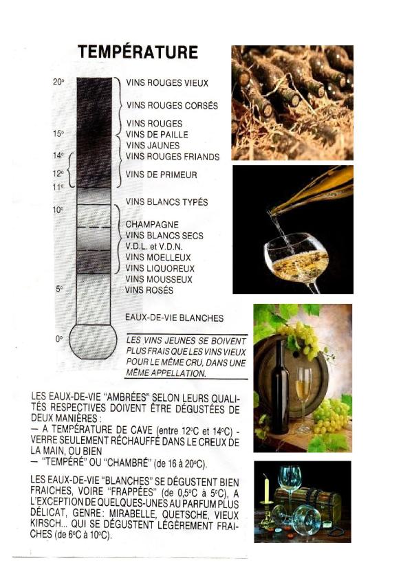 L'art de servir les vins3