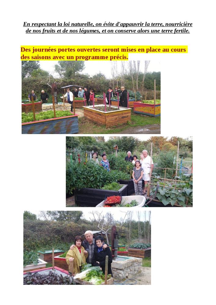 implantation suite 22