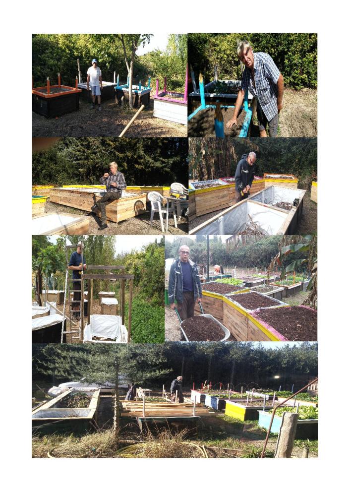 implantation suite 25