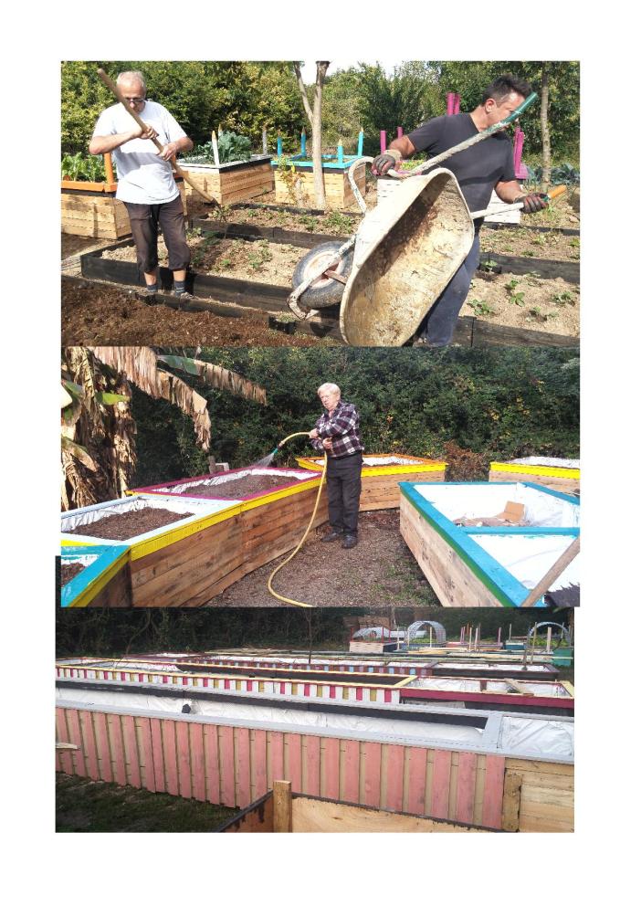 implantation suite 26