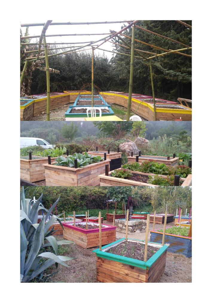 implantation suite 27