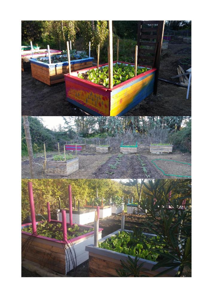 implantation suite 28