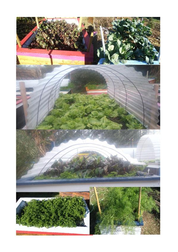 on prepare les semis2