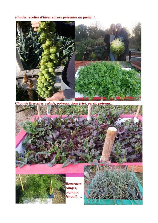 semaine de février intense 20164