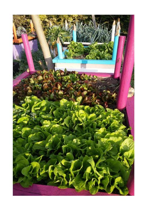 semaine de février intense 20165