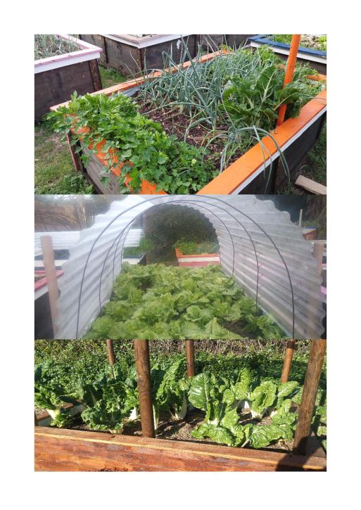 semaine de février intense 20166