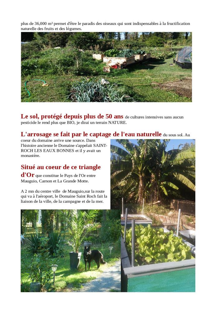 Son implantation, sa raison...2