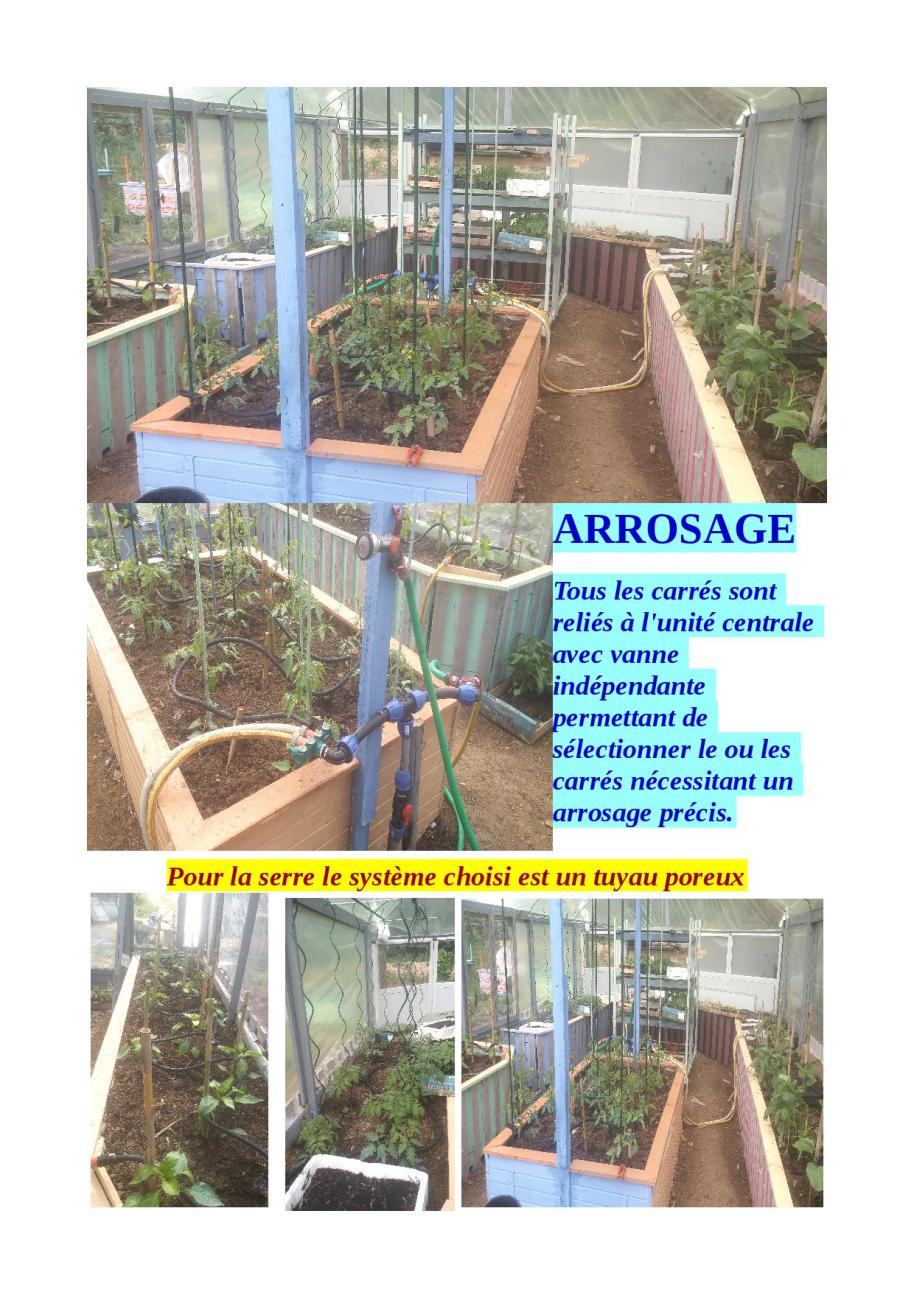 potager visite 2
