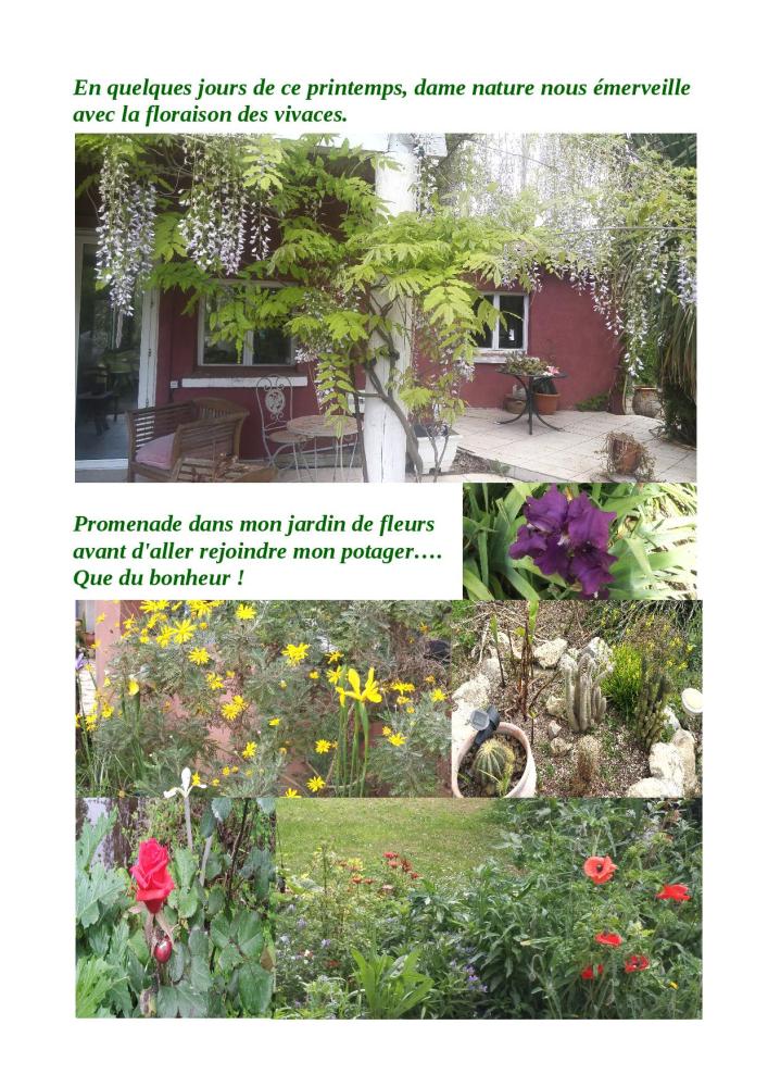 promenade jardin de fleurs