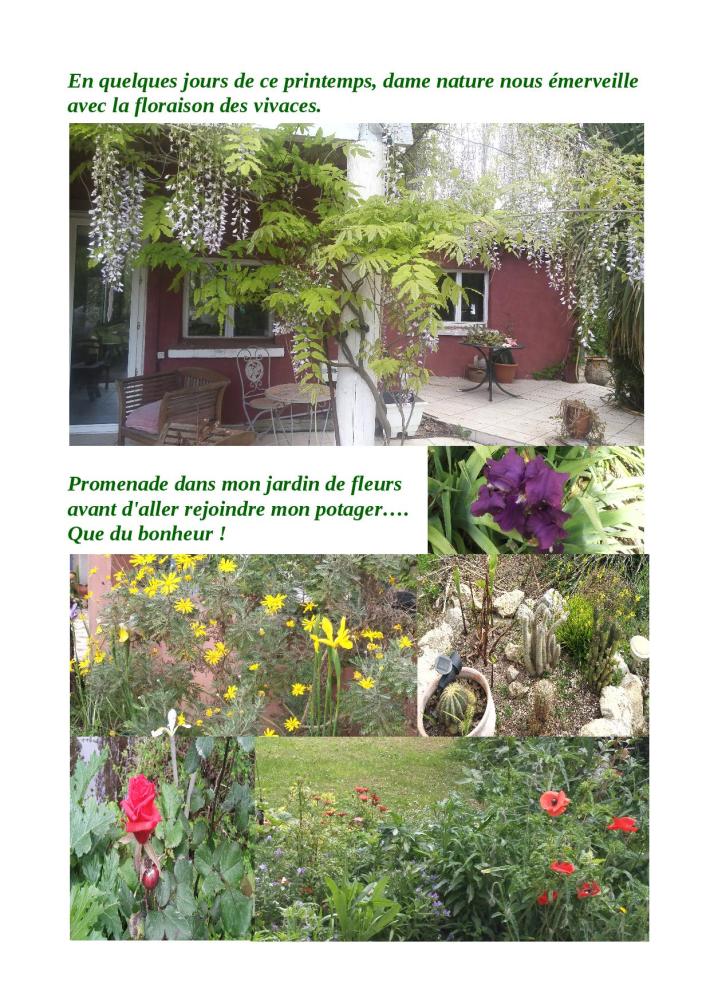 promenade jardin de fleurs