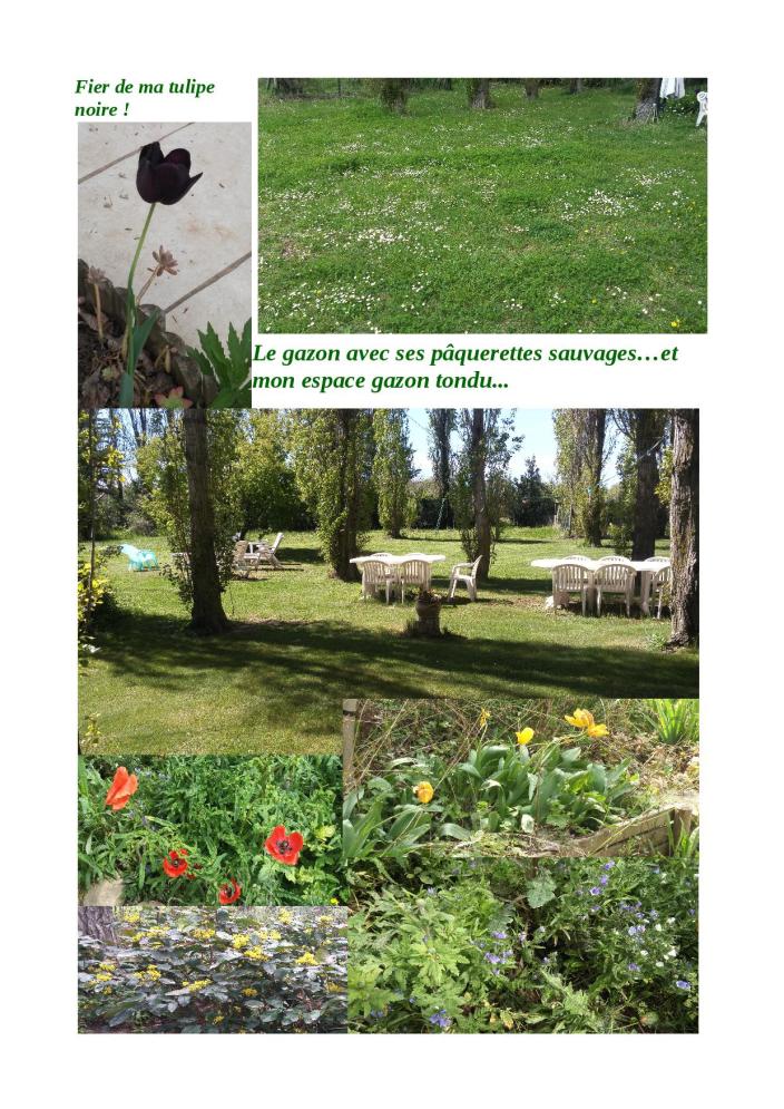 promenade jardin de fleurs2