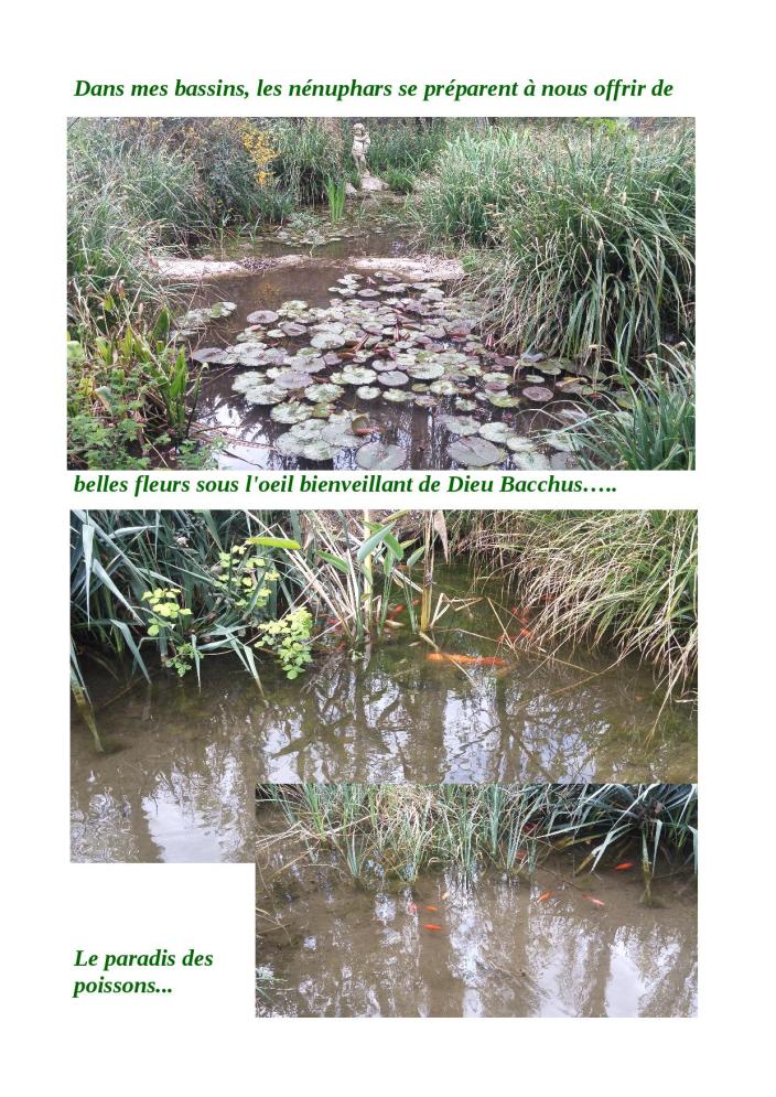 promenade jardin de fleurs3