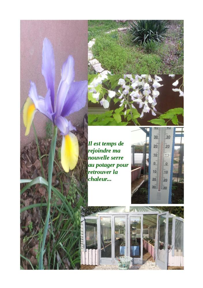 promenade jardin de fleurs4