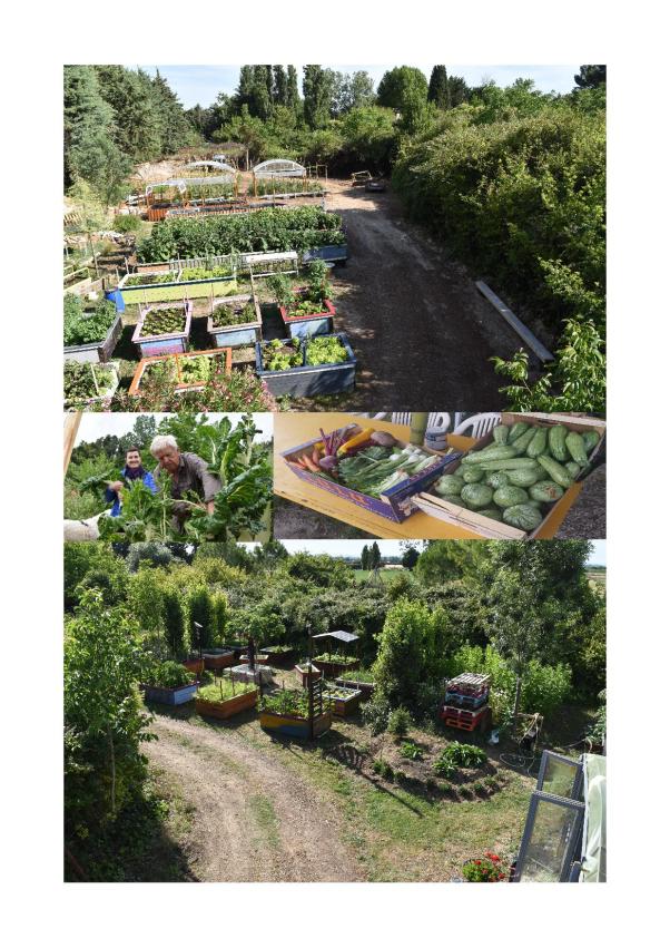 montage vue aérienne jardin image jpg2