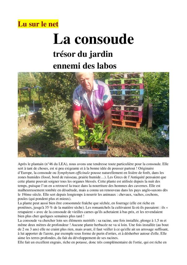 lu sur le net La Consoude