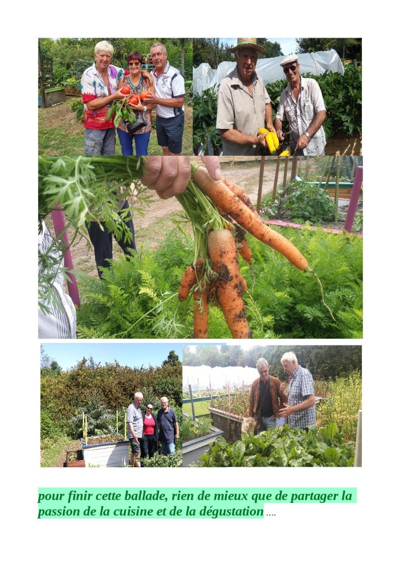 promenade jardin juillet 2016  208